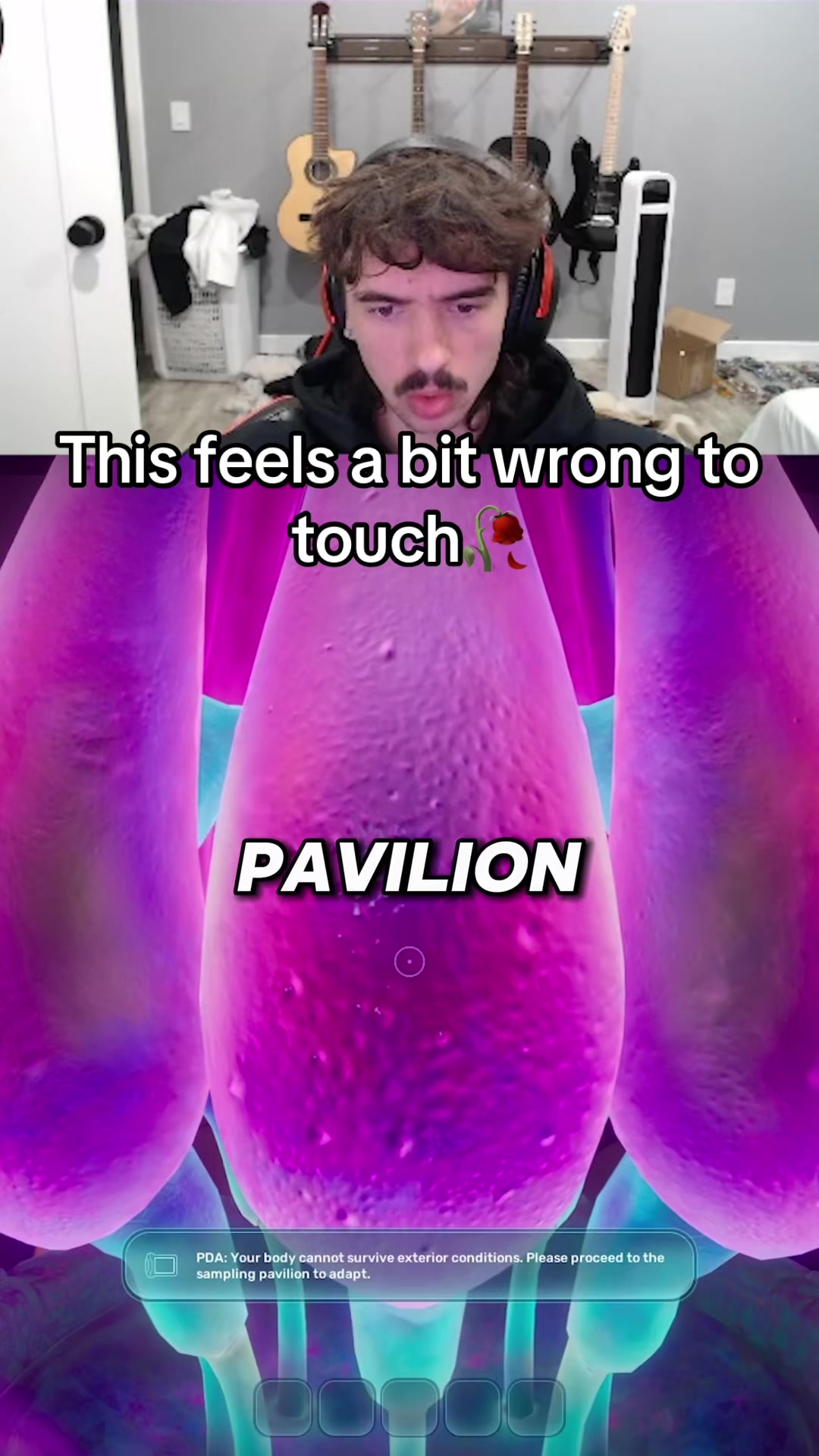 @mesadooly_