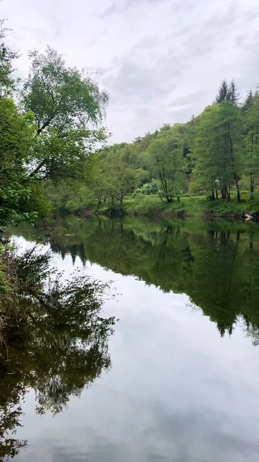 @LucyLu🏴💜🥾