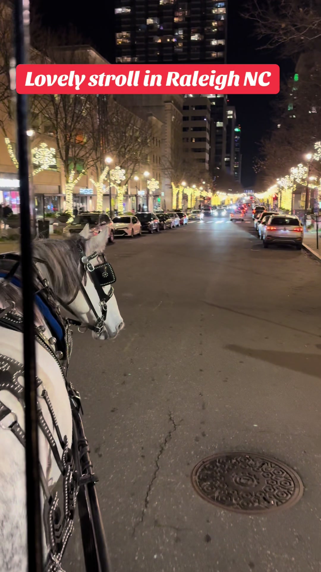 @southerncharmcarriages