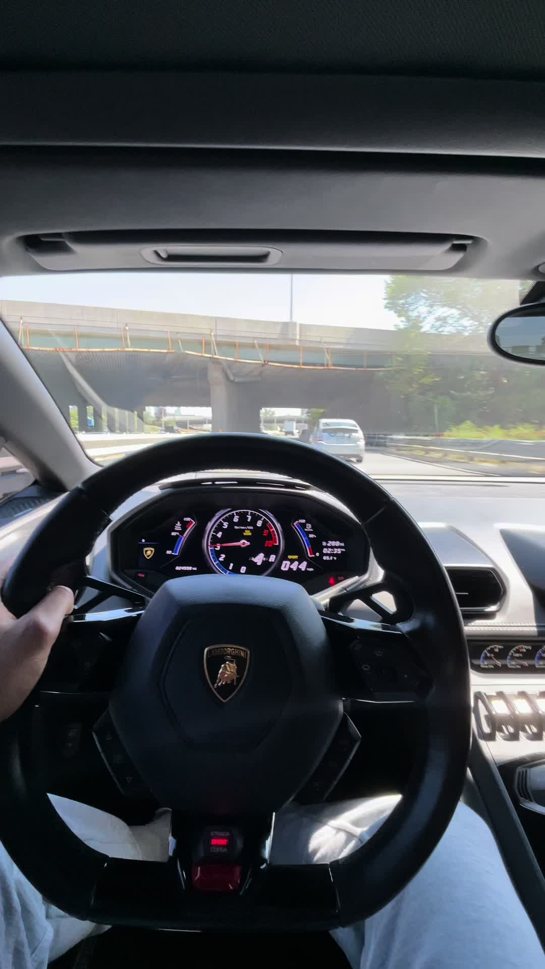 @Champexotics