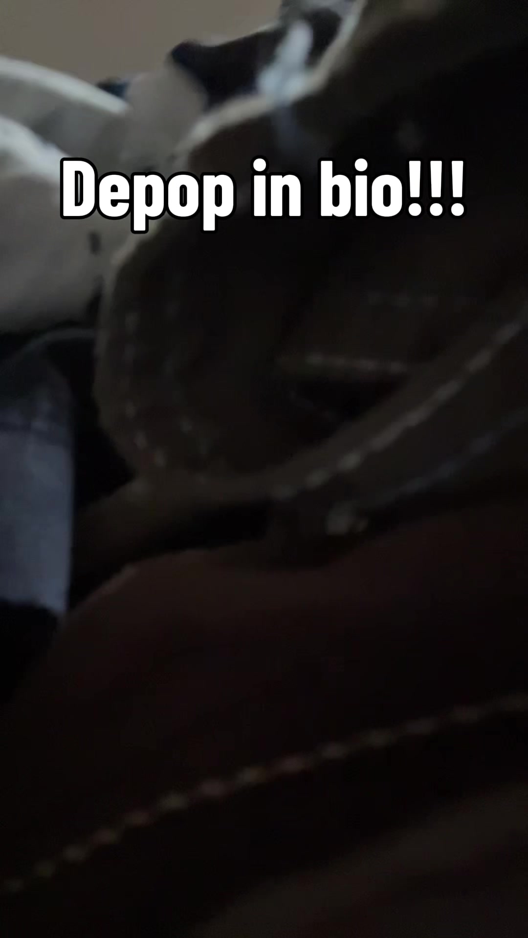 @Bpup