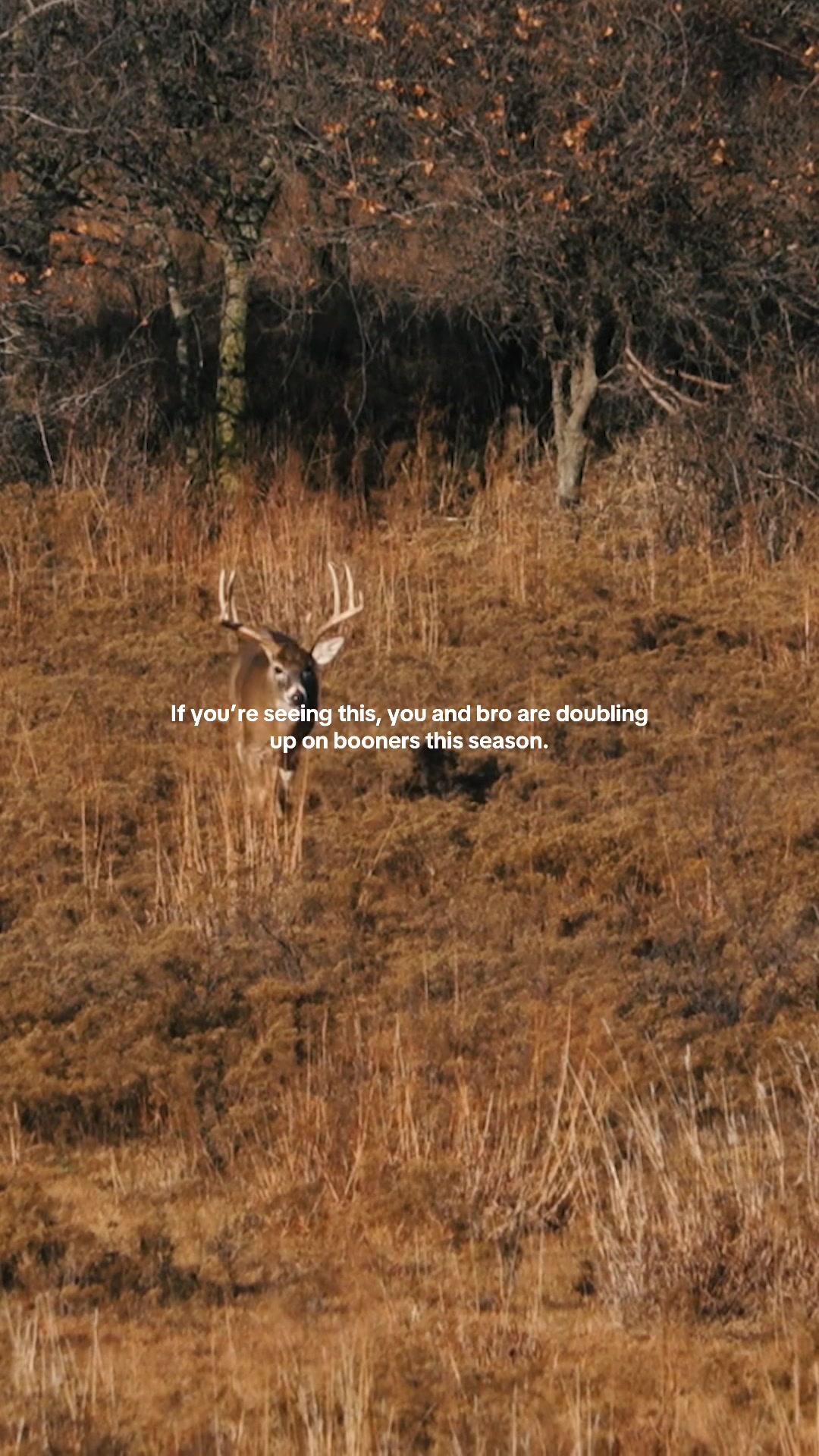 @Moultrie