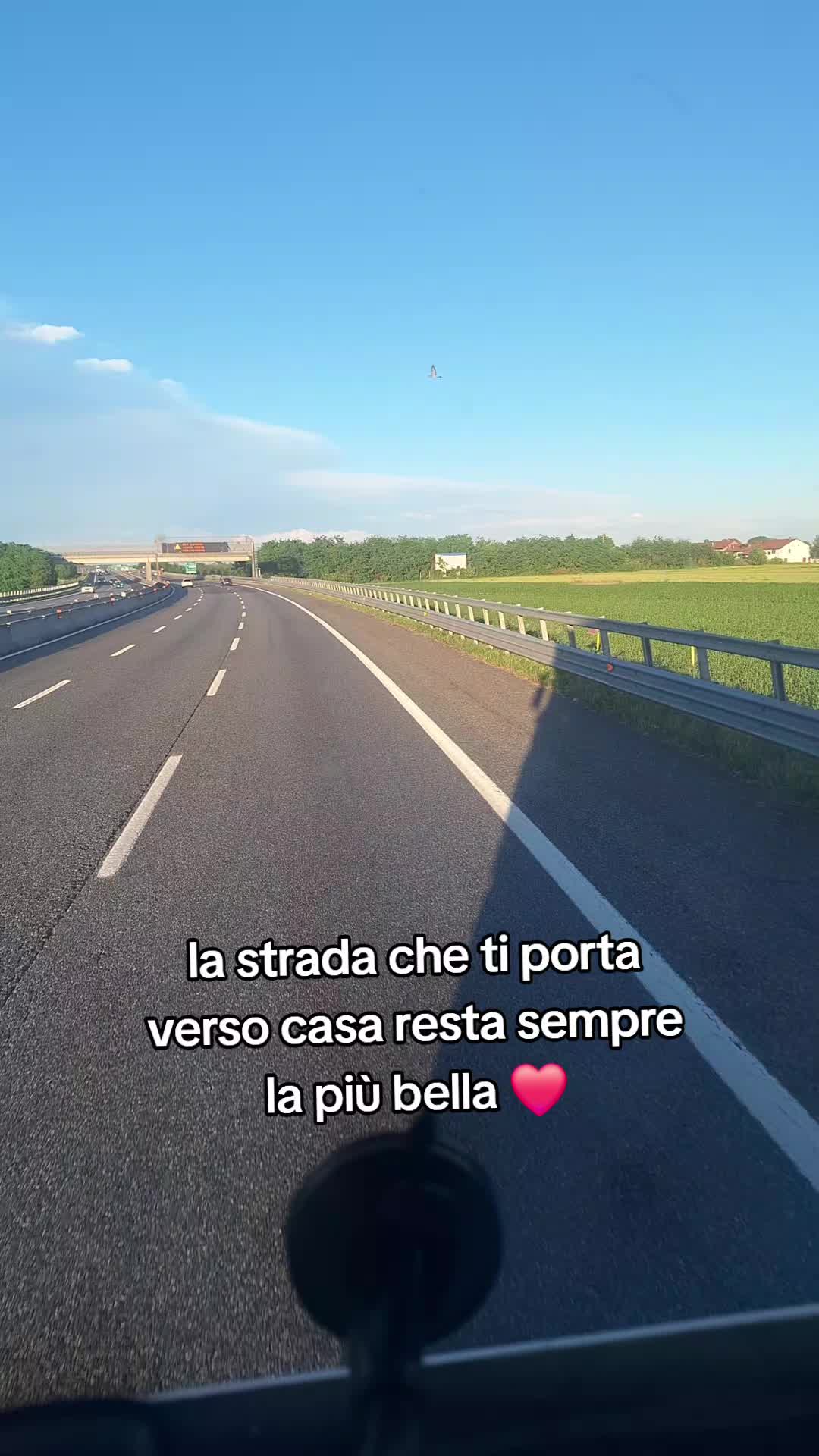 @carminecoppola3_
