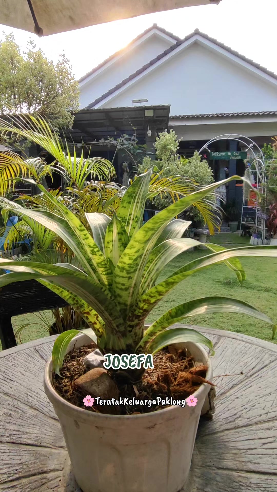 @Teratak Keluarga Paklong