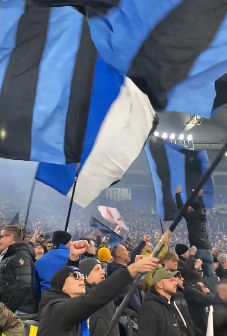 @rino.fcim