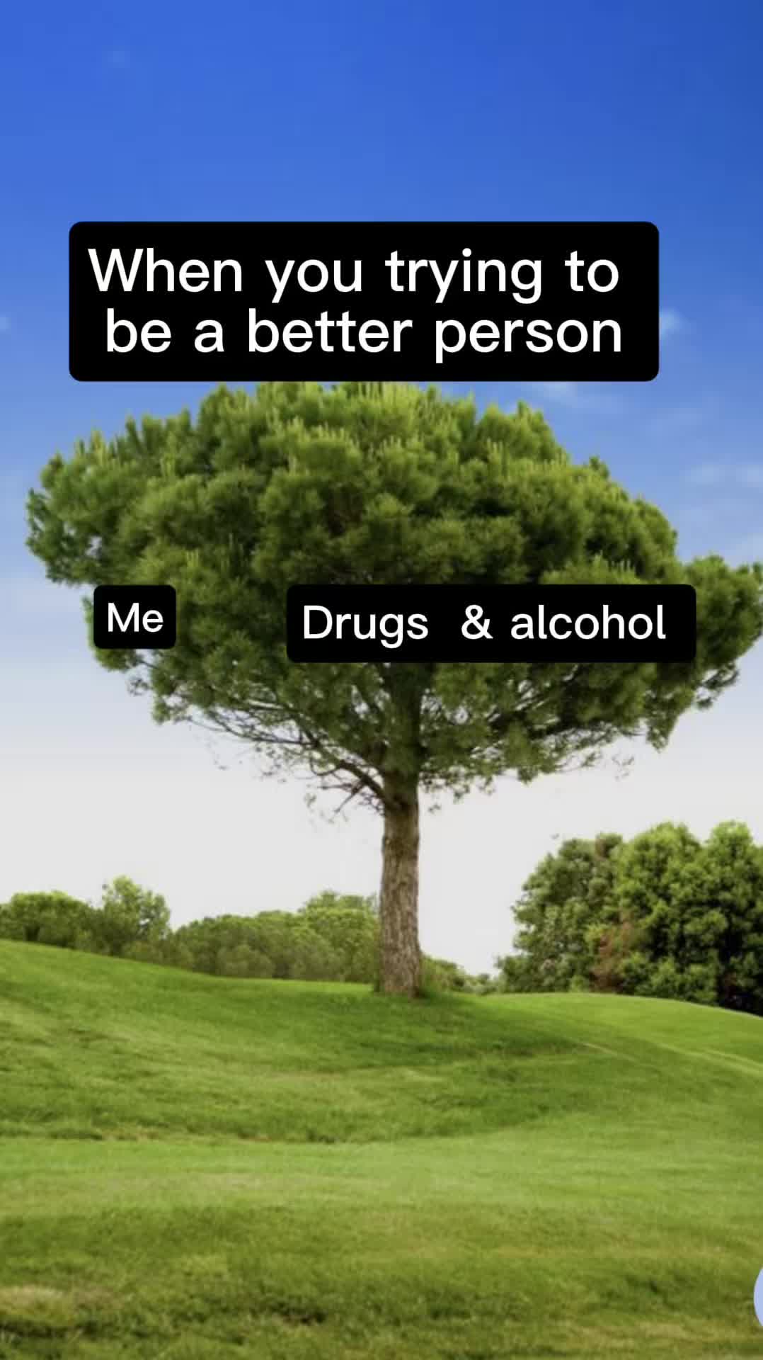 @Shawngen❌