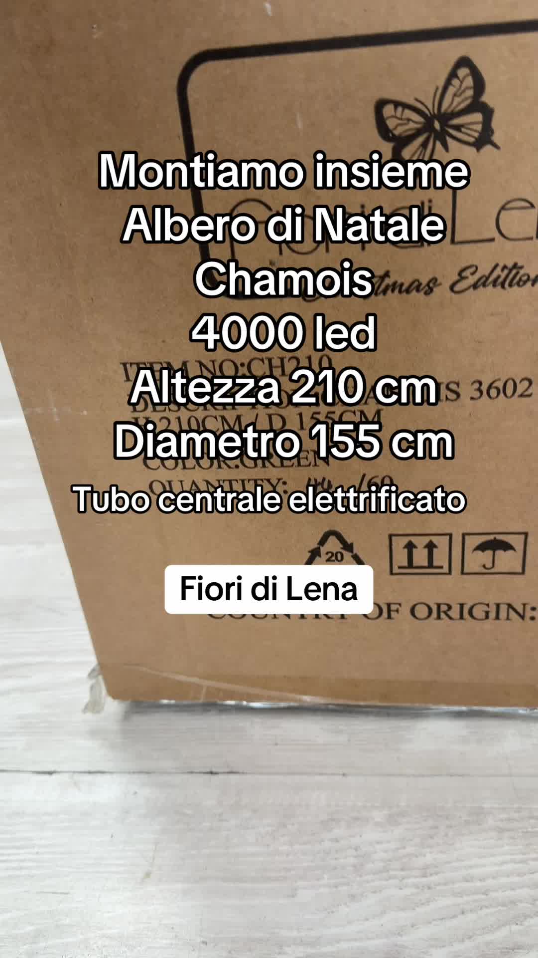 @alessia demma