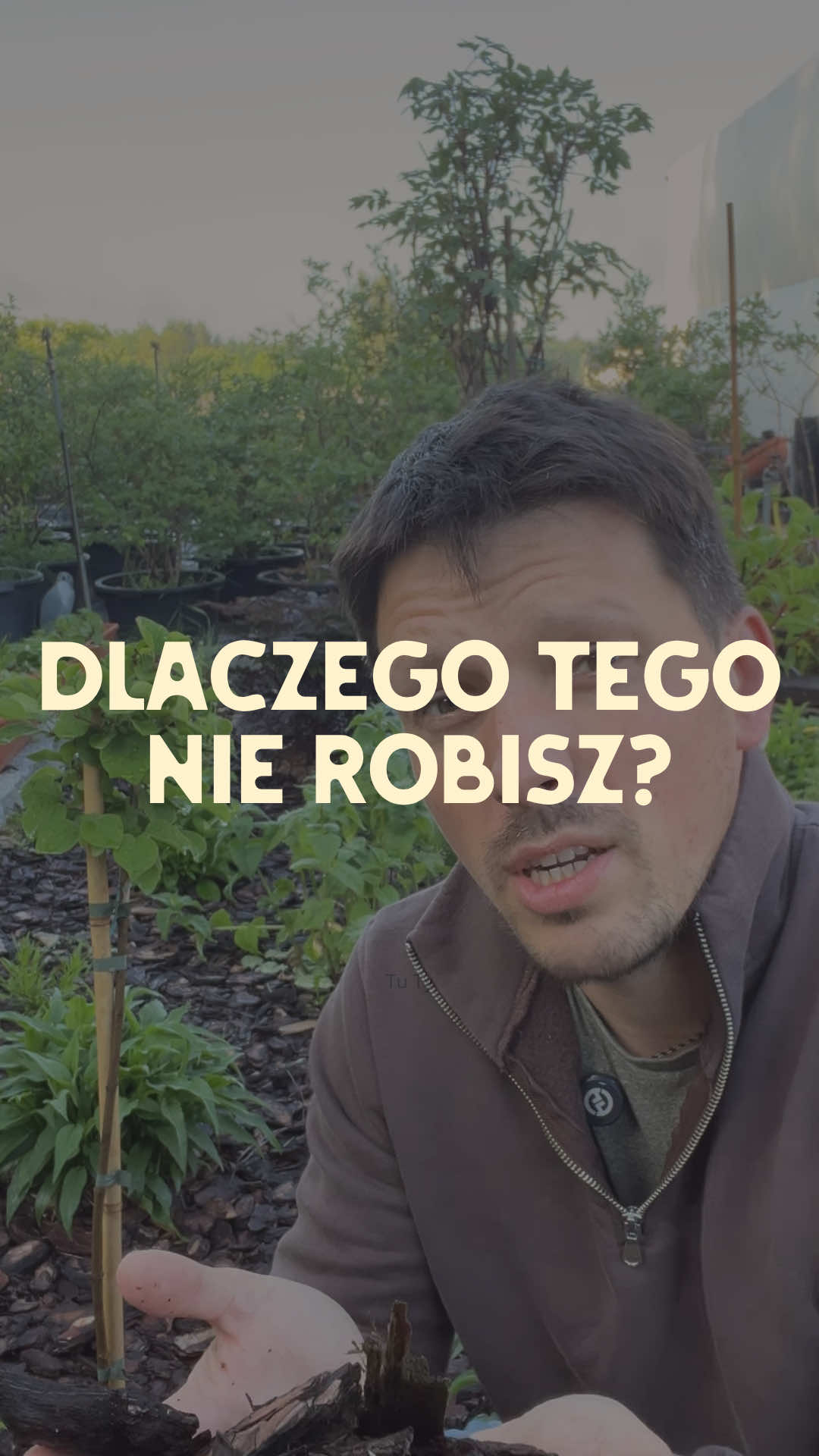 @Ogrodnik Doskonały