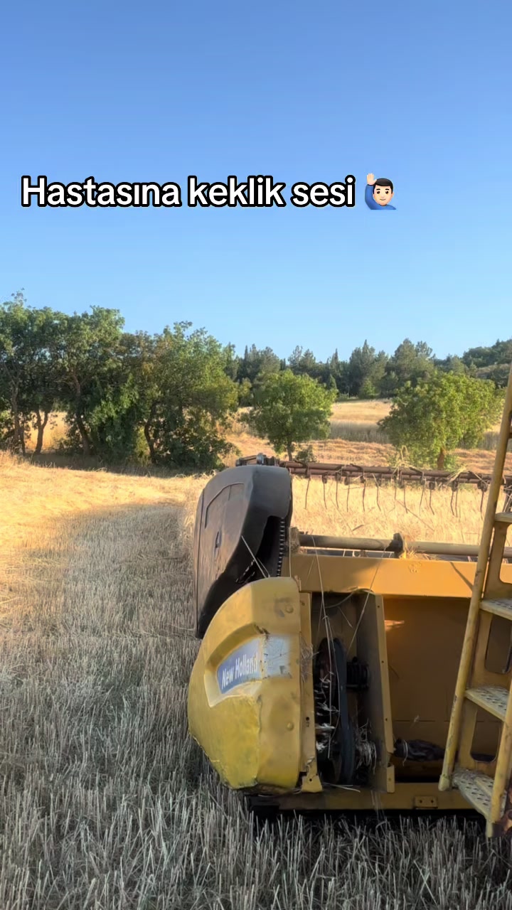 @𝓝𝓾𝓻𝓮𝓽𝓽𝓲𝓷