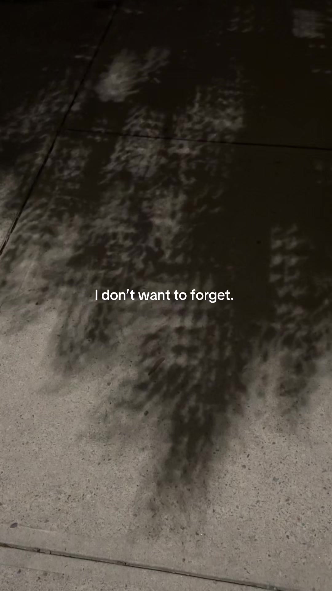 @ʜᴜɴᴛᴇʀ 𓆃