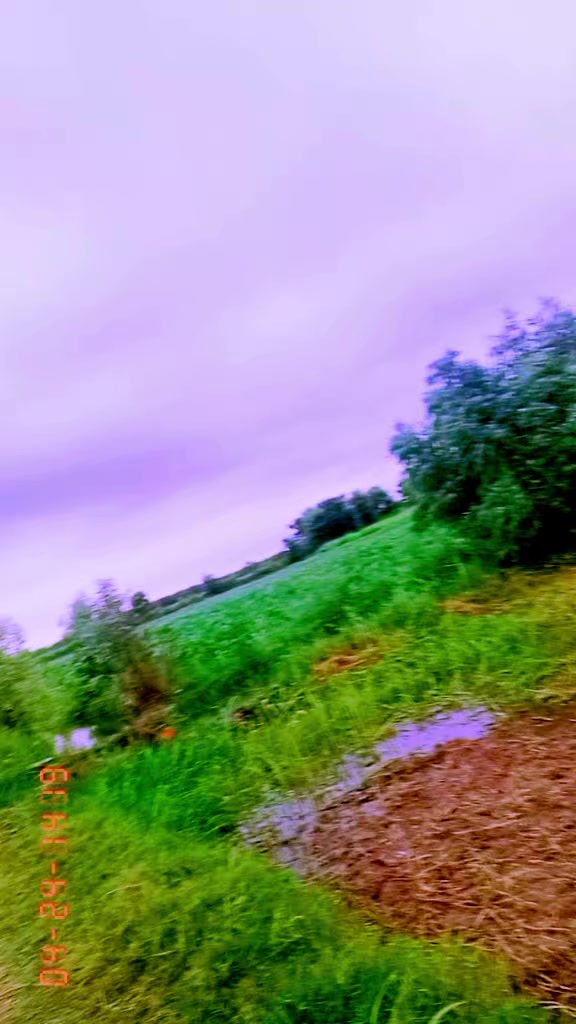 @farooqabbas517