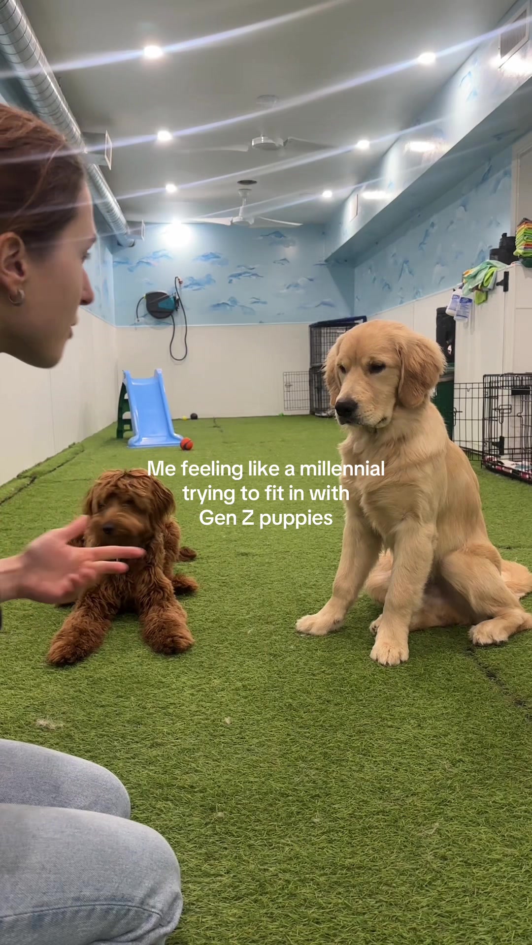@Camp Canine Toronto