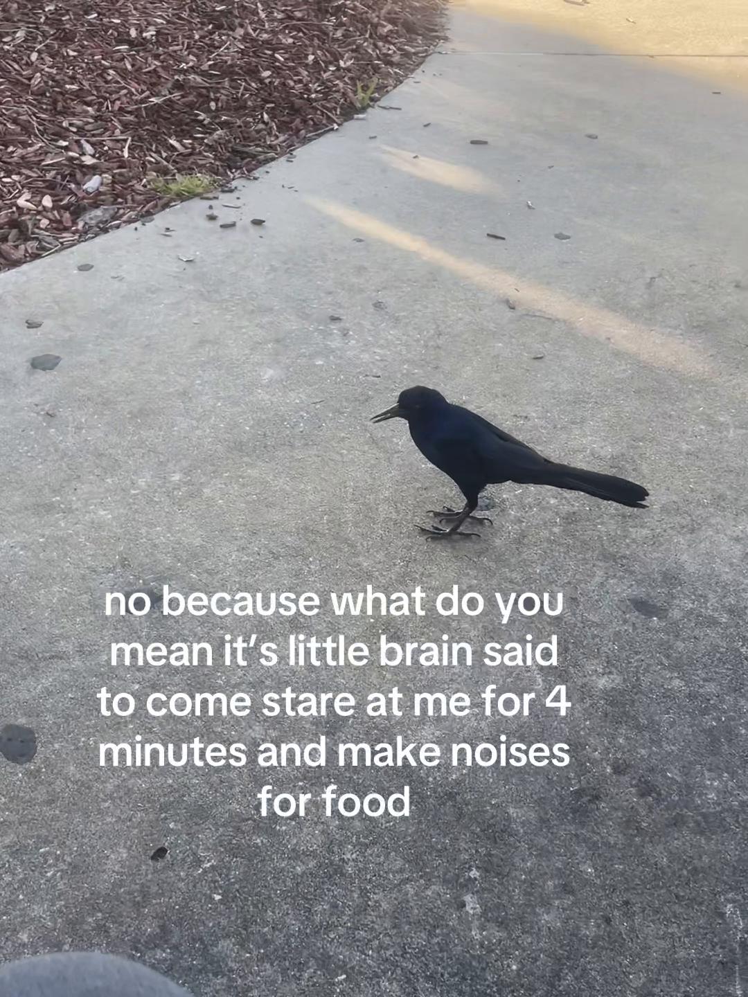 @Maddox