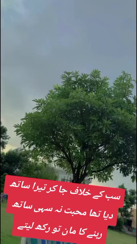 @Mano chakwali 🥰🥰🥰
