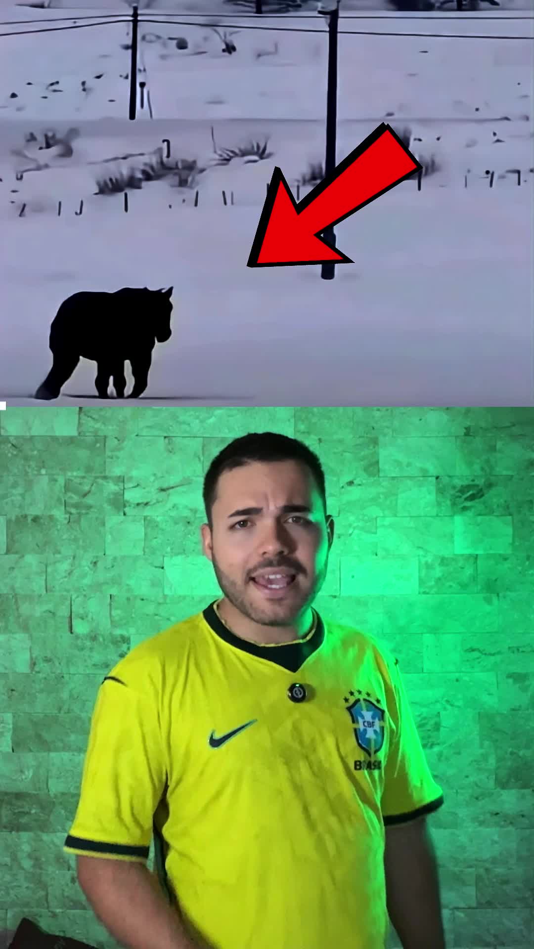 @Danielaugustobr