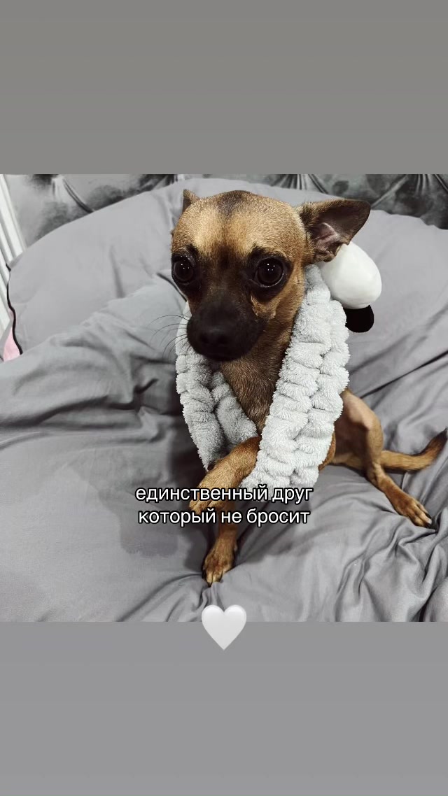 @ӕ
