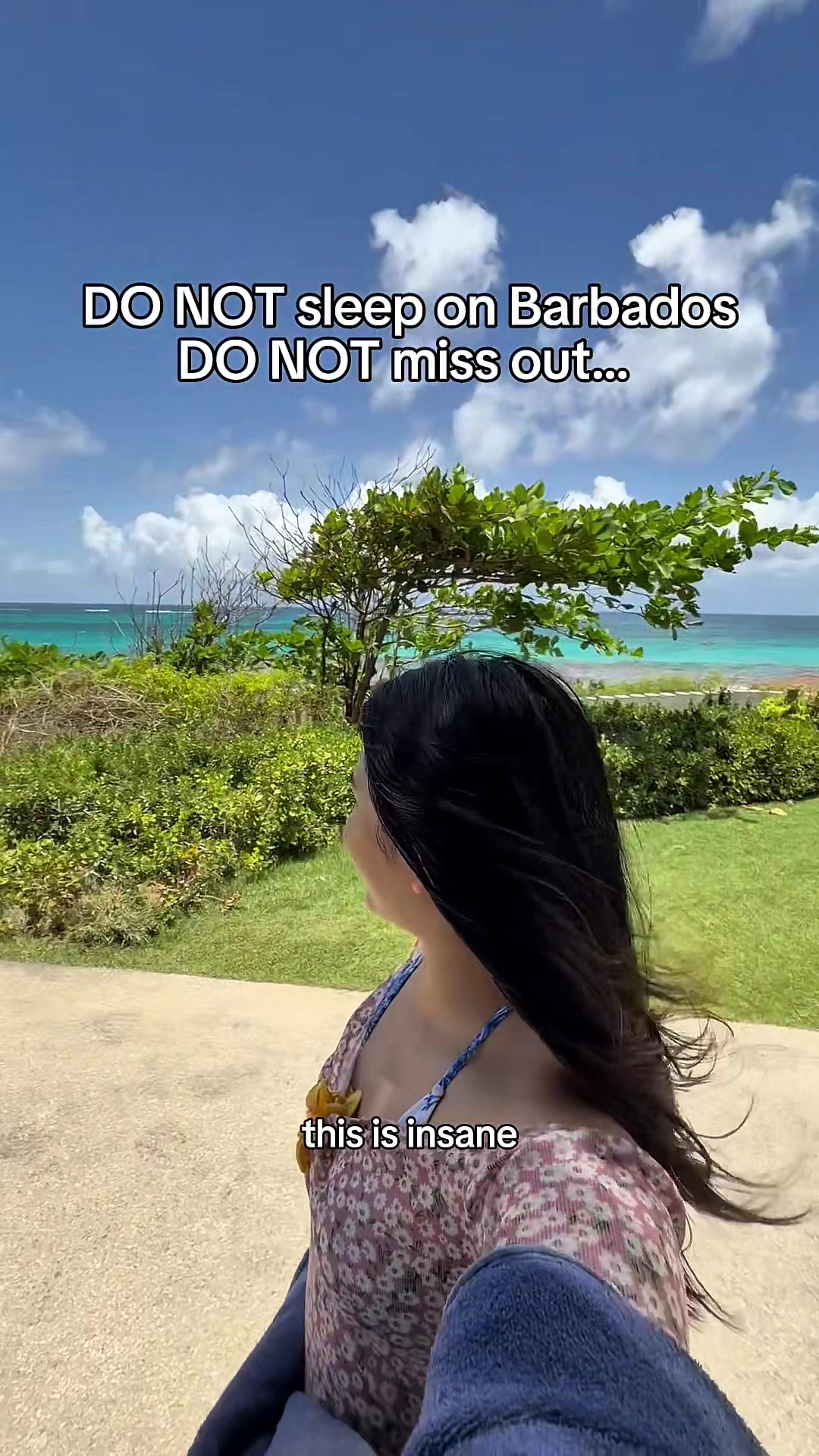 @helen li