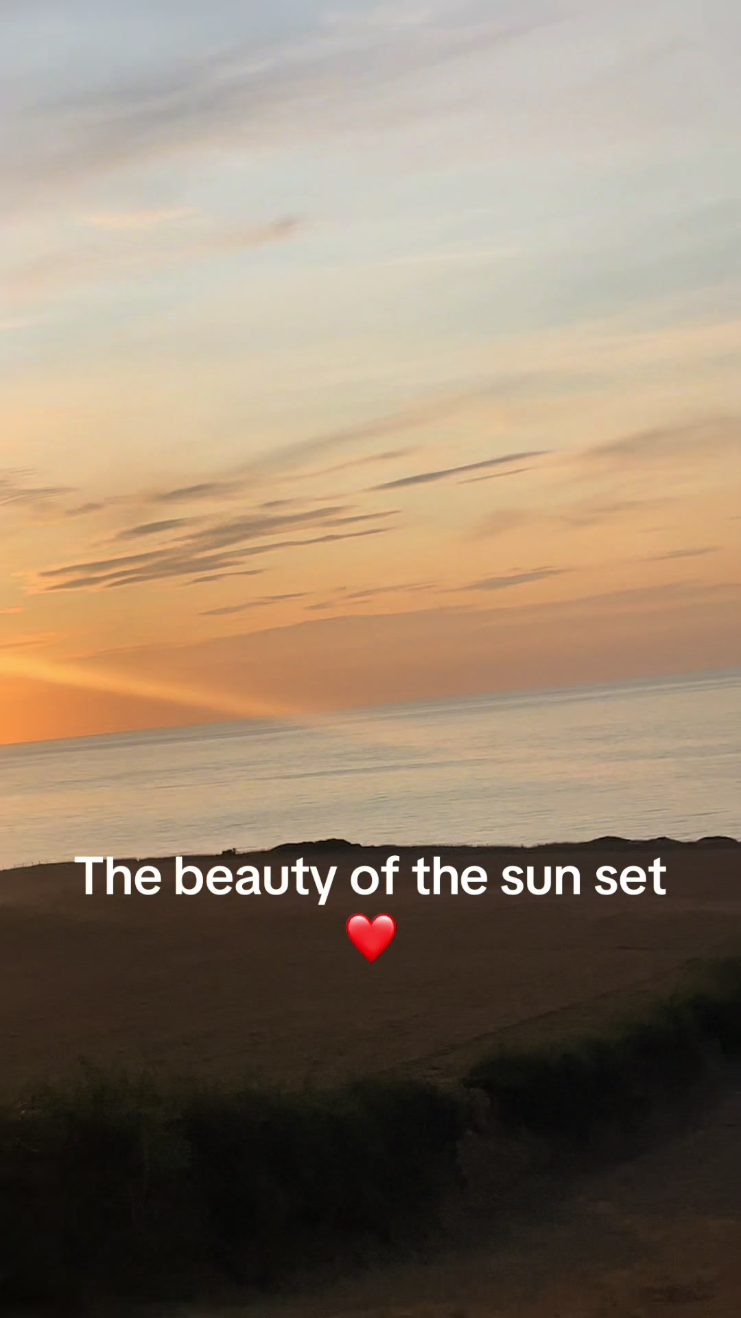 @sis.1811