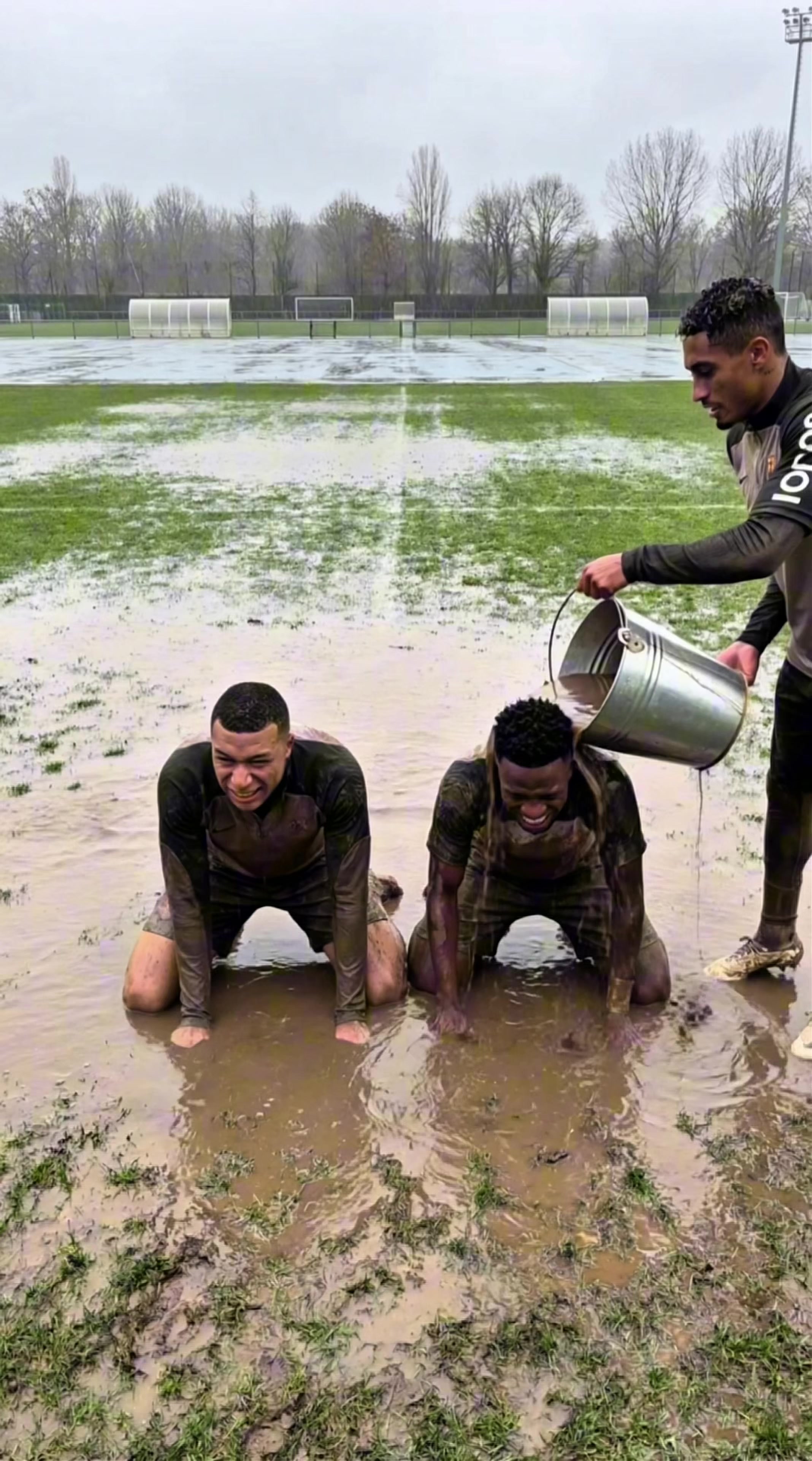 @goalwavve