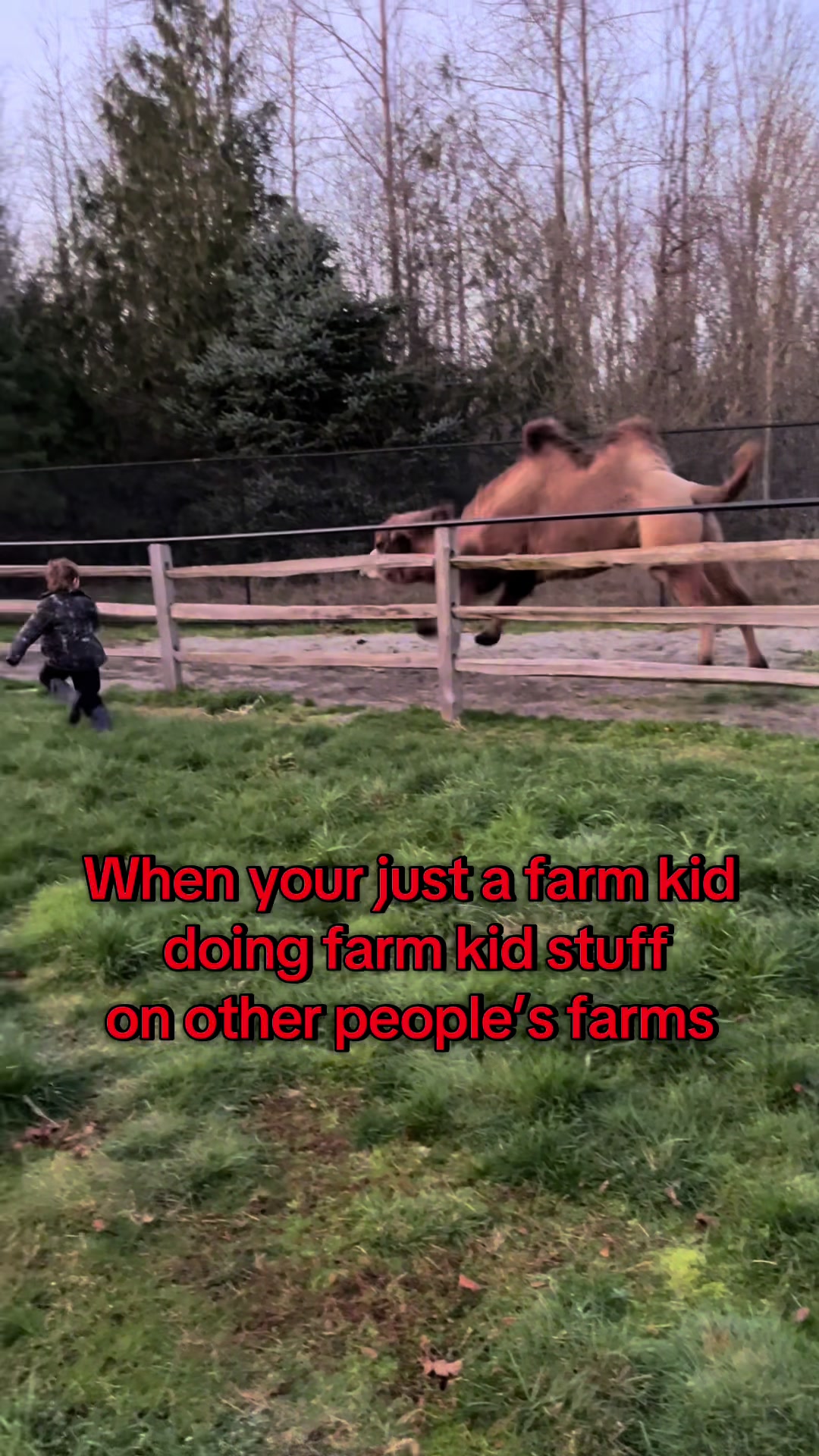 @The Bikini Farmer