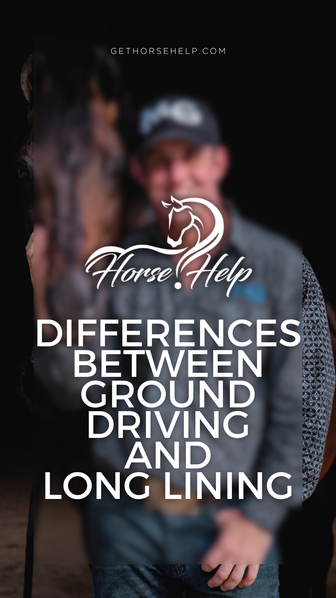 @Horse Help