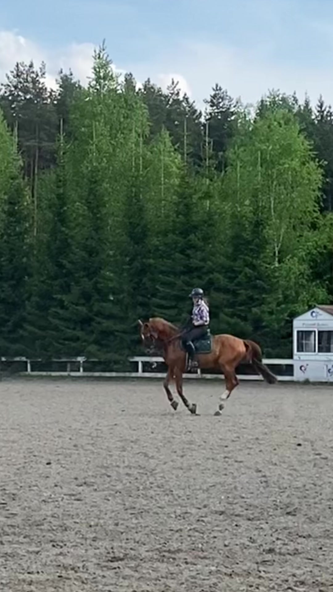 @Tгк:Margarita equestrian