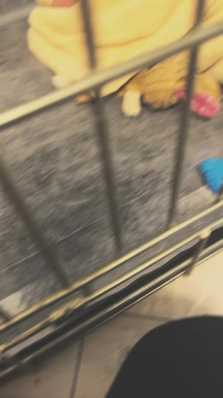 @𝑬𝒔𝒆𝒏𝒊𝒊𝒂𝒂🙇🏽&zwj;♀️