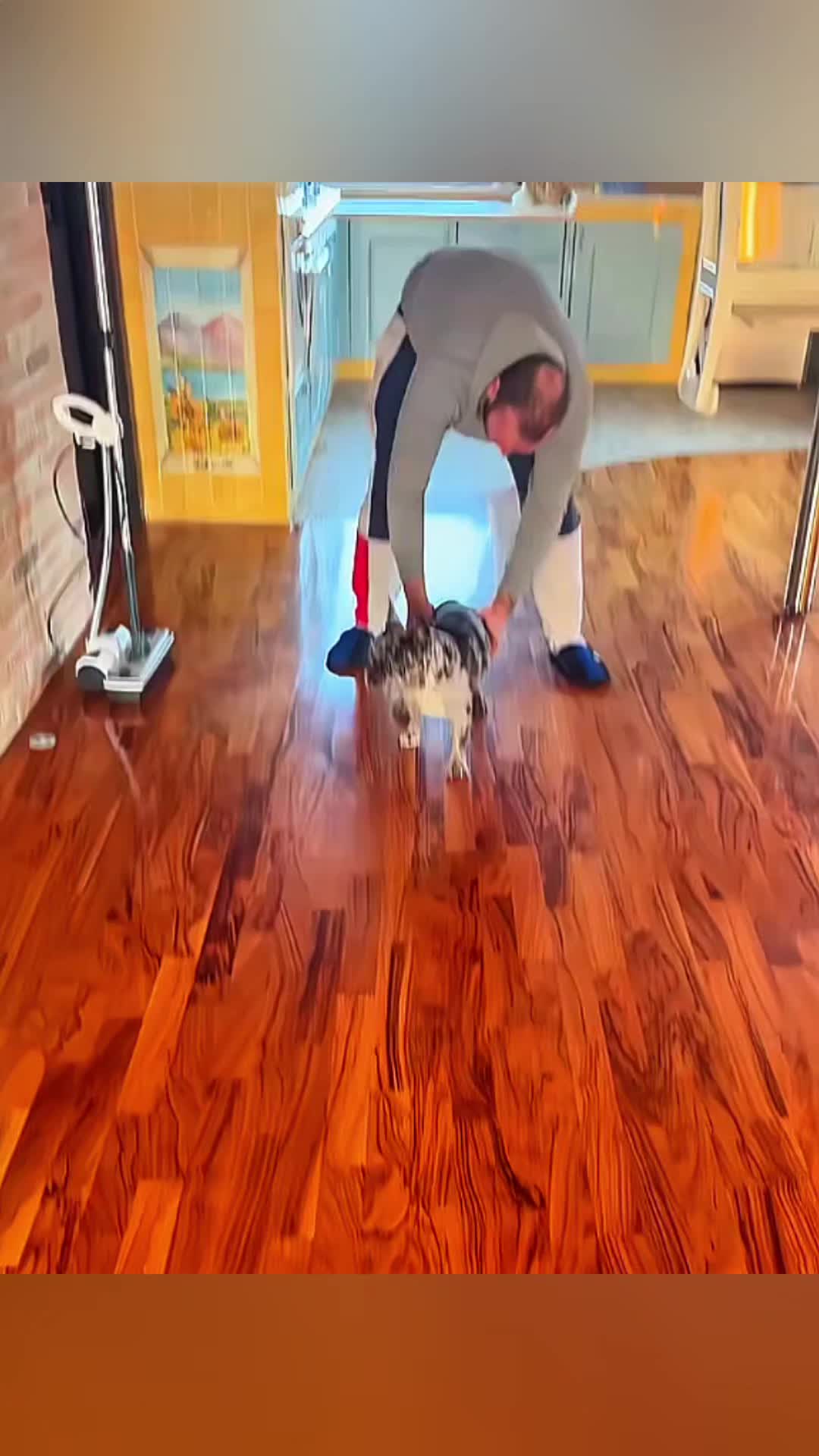 @Cute Pet ❤😘