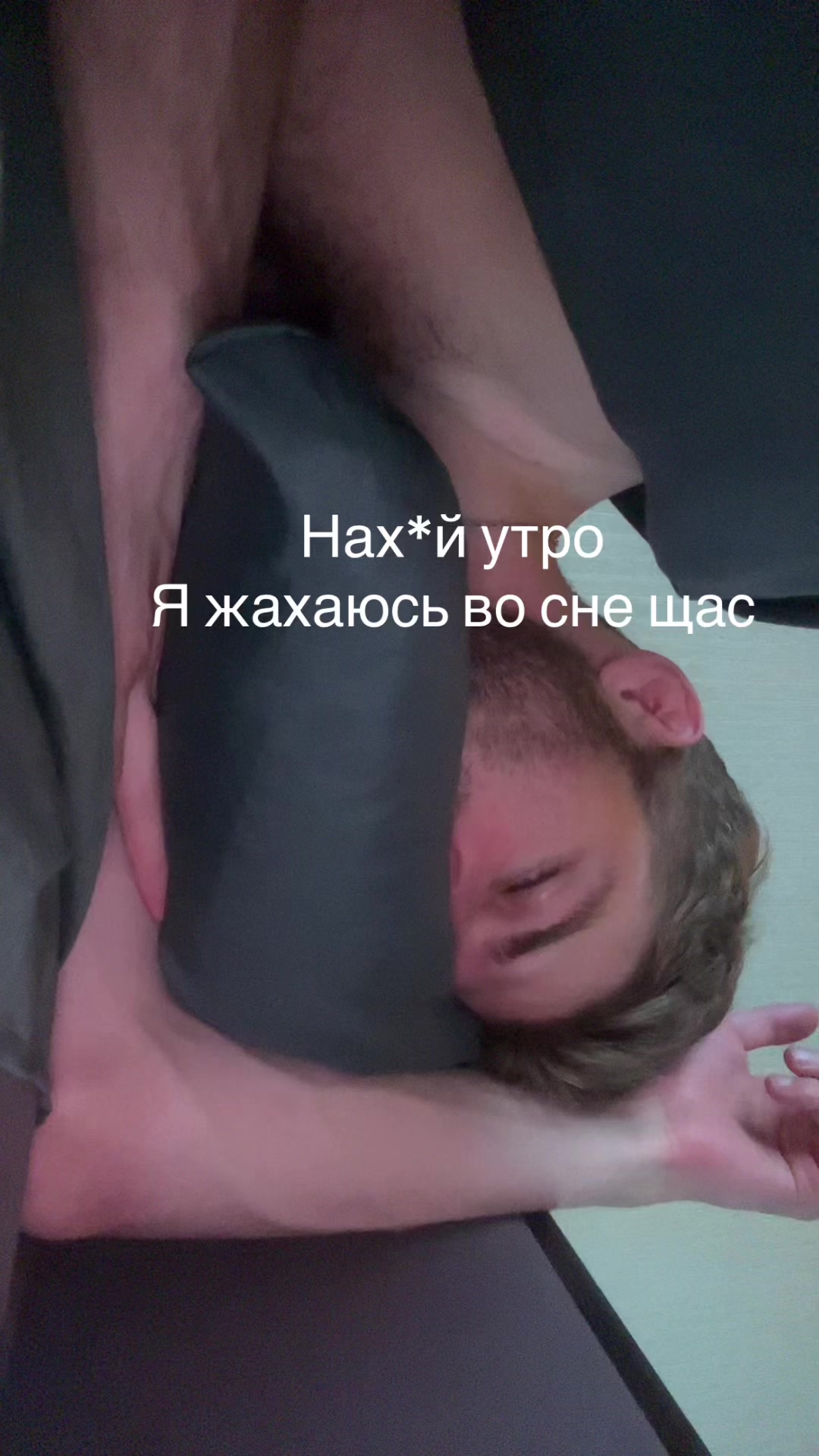@Birbito400iq