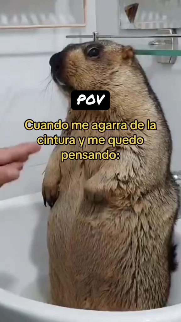 @Mariana Reyes