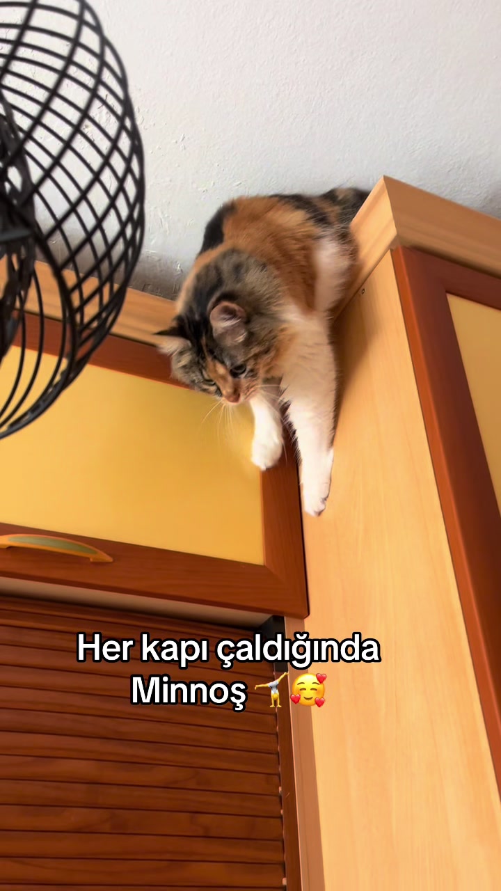 @konusankediminnos