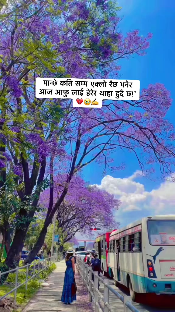 @Maनु Laमा(chhoten)