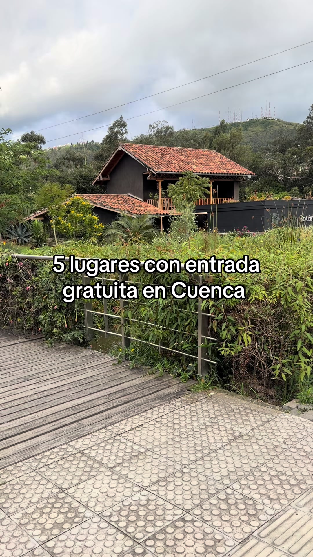 @Lucy Jara Zea