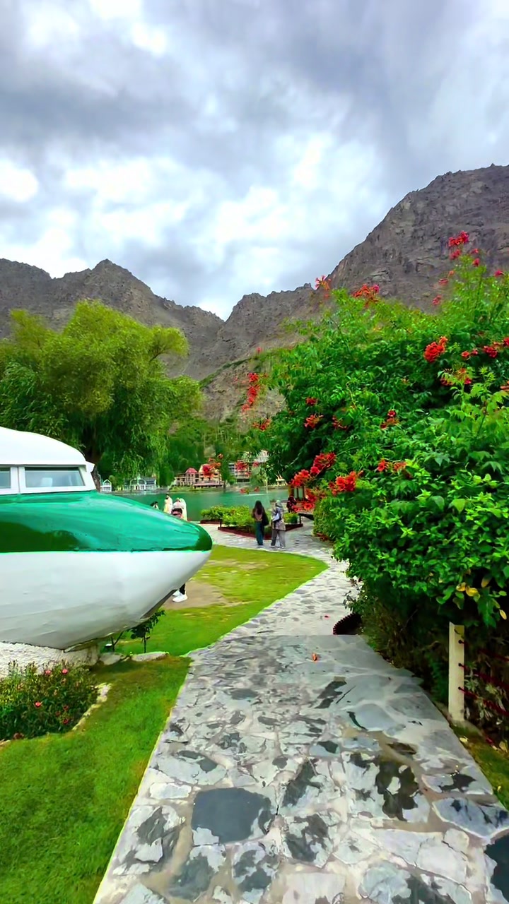 @MAJID ALI🇵🇰