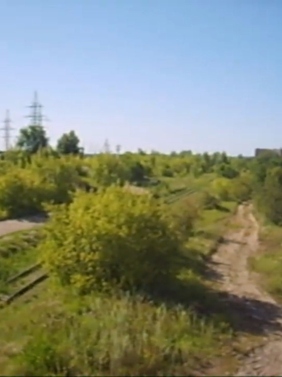@Туманная поляна