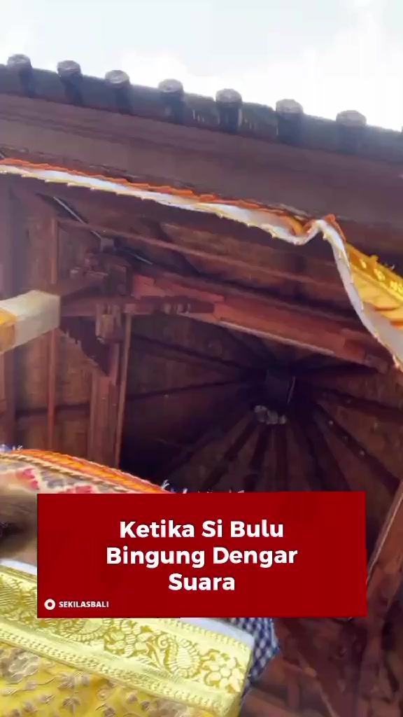 @Sekilas Bali