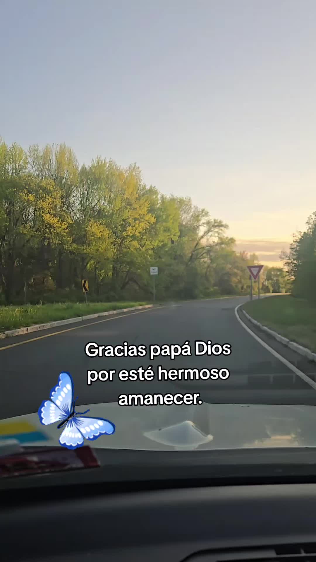 @Anneris