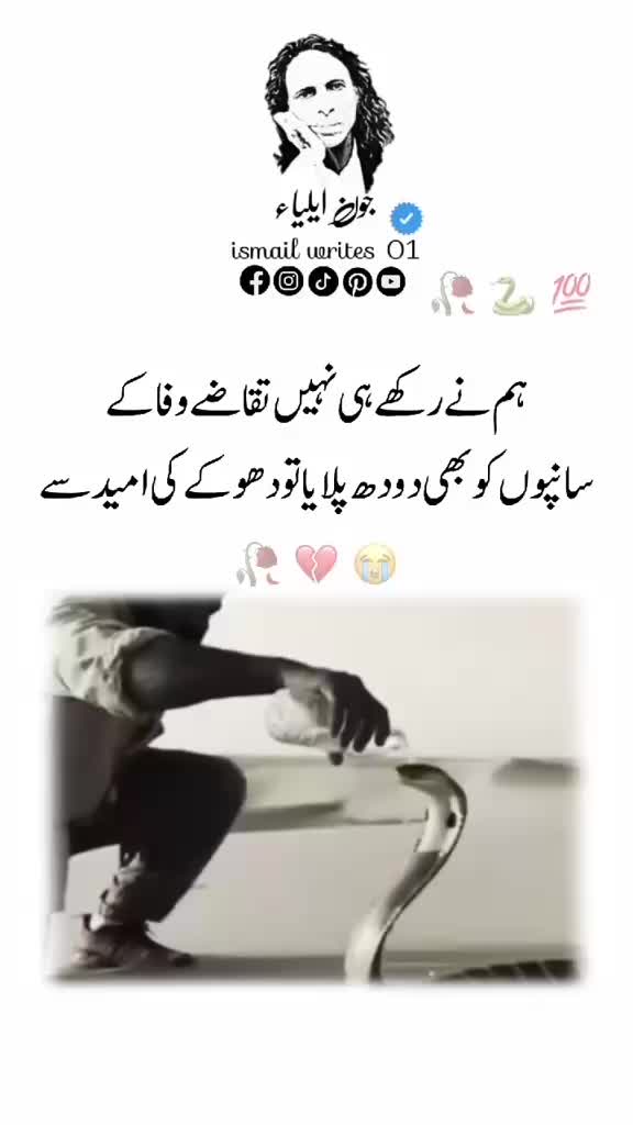 @usman Mehar 💞