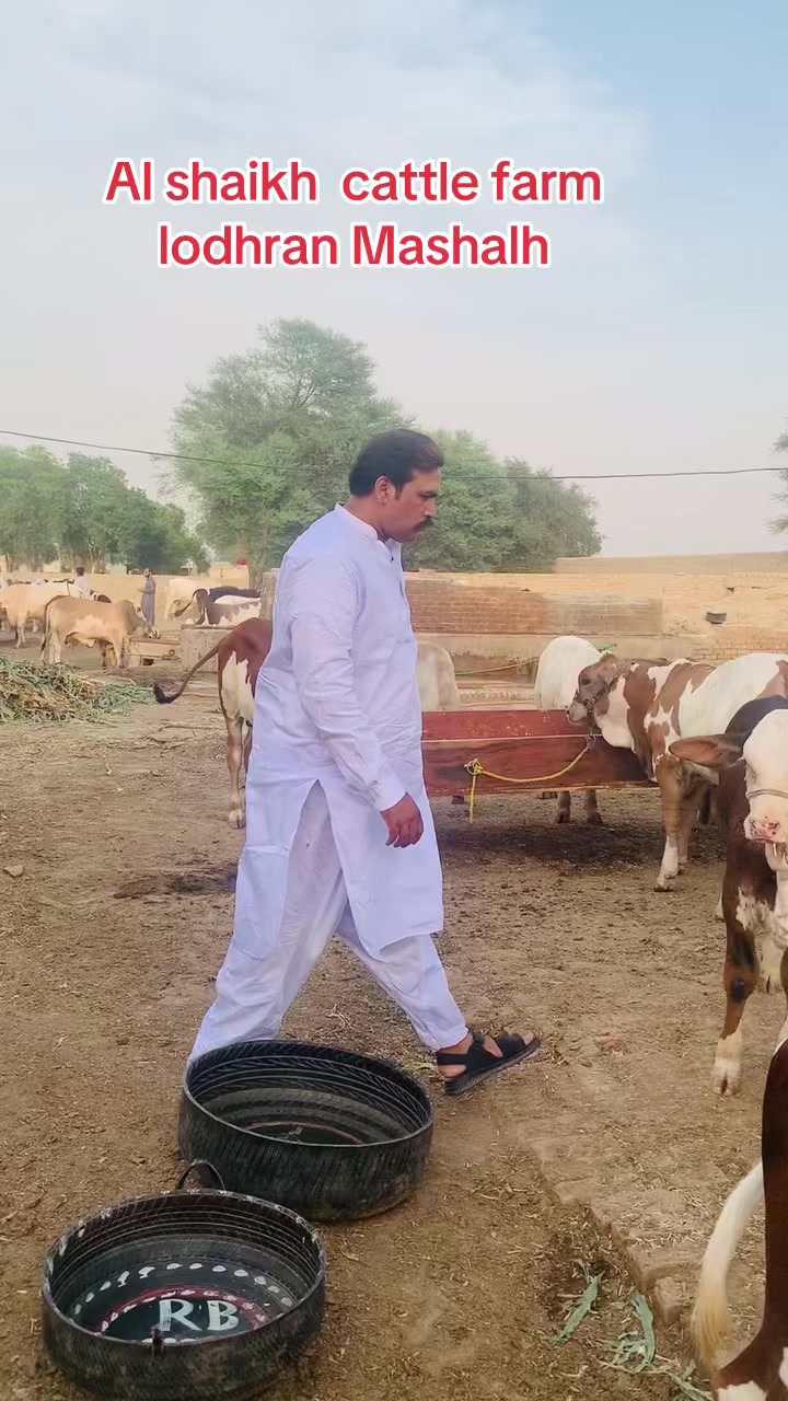 @adnan222