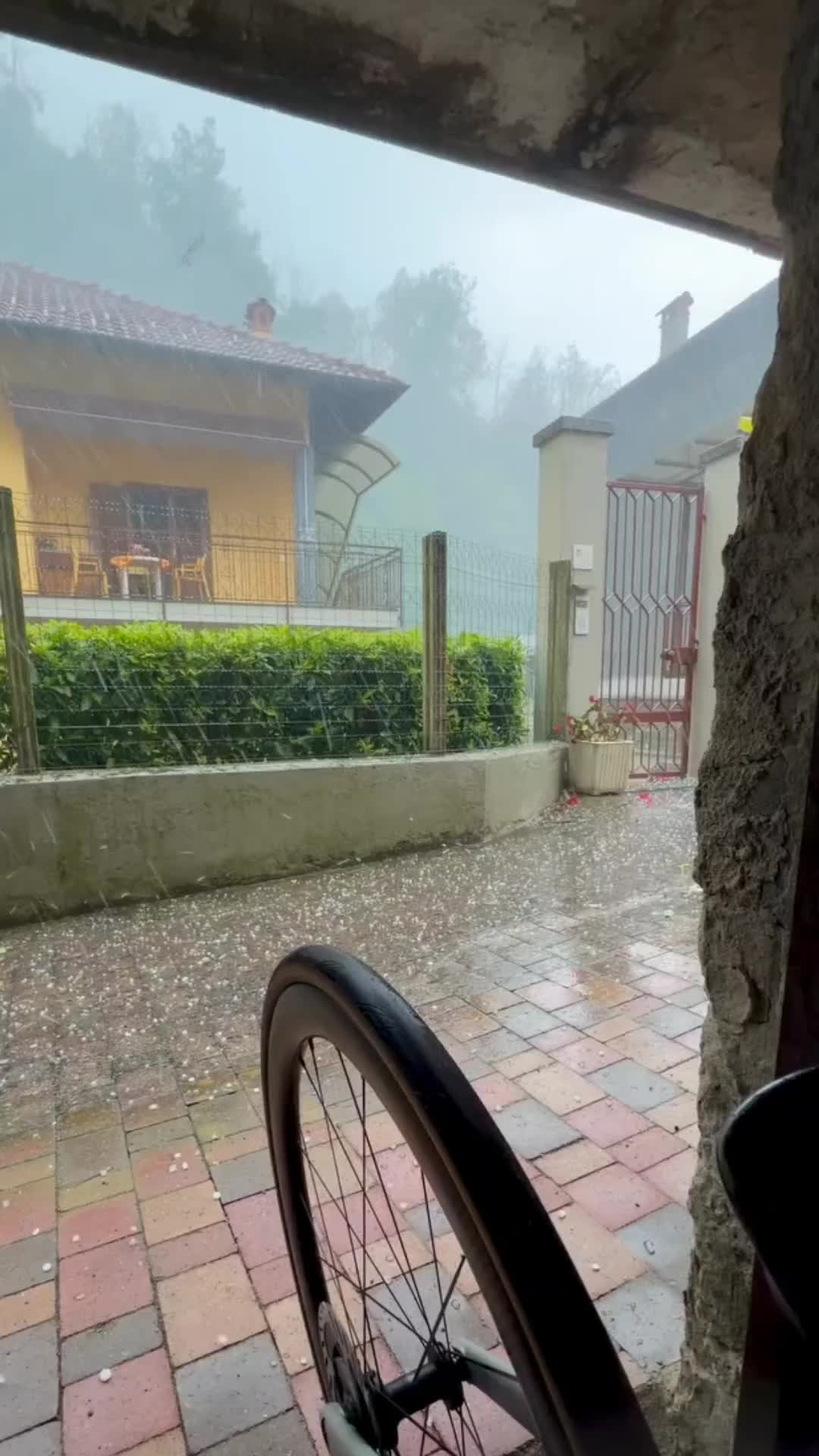 @Weather Insider