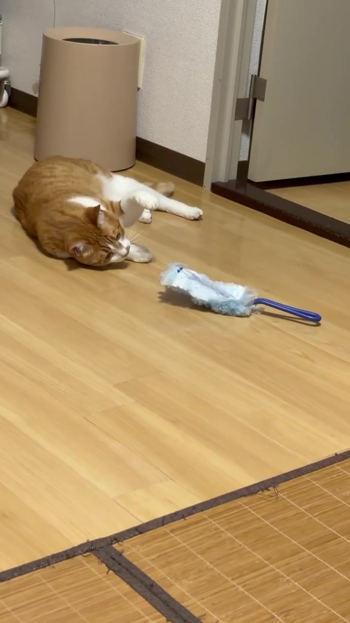 @玉次郎