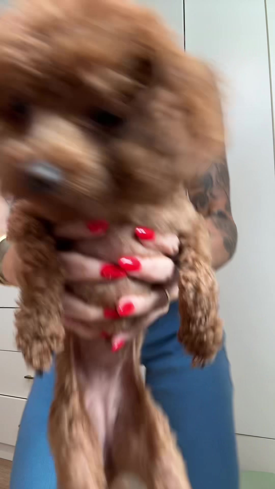 @TheBravoMom
