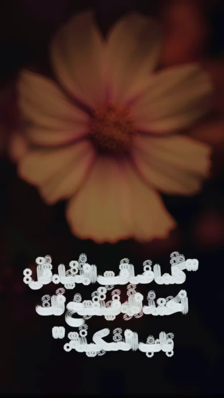@🍁Ɱ&sigma;ɳ&alpha;🍁