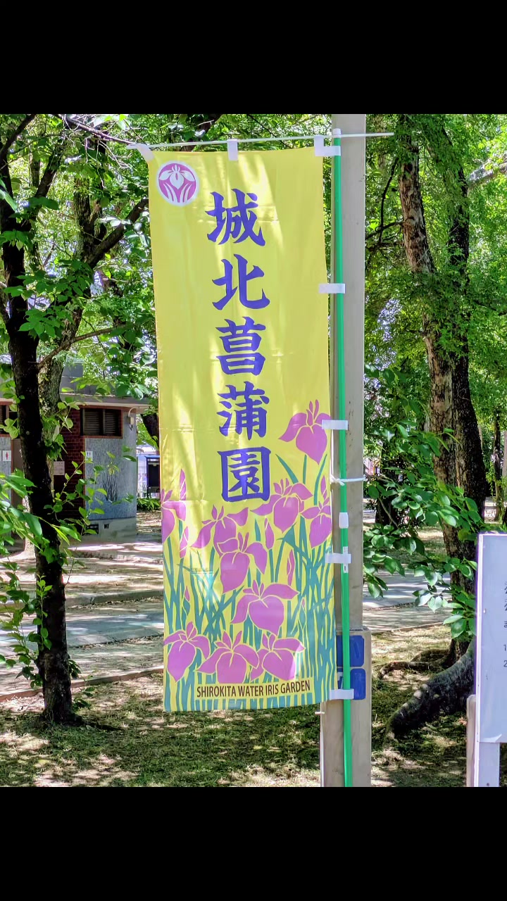 @銀の龍
