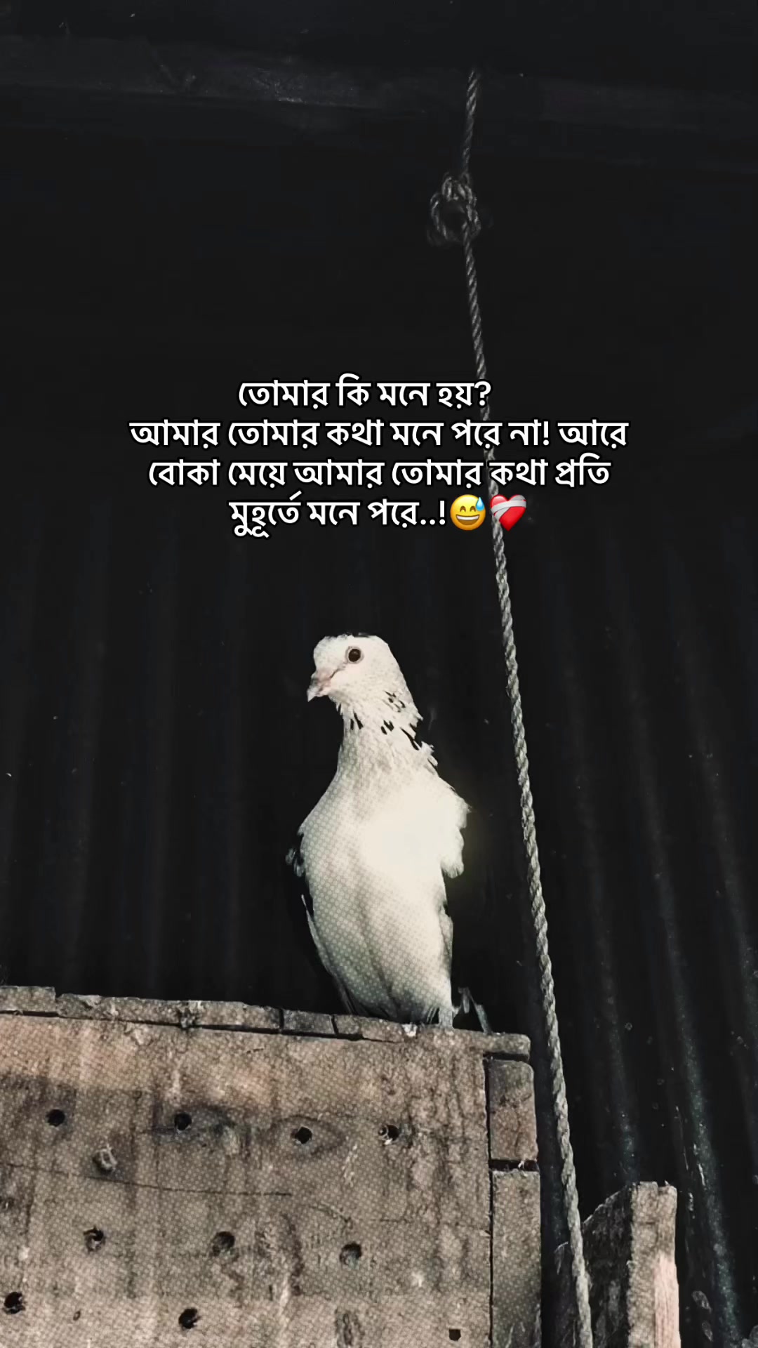 @the_spydoo🕸️ 🥏