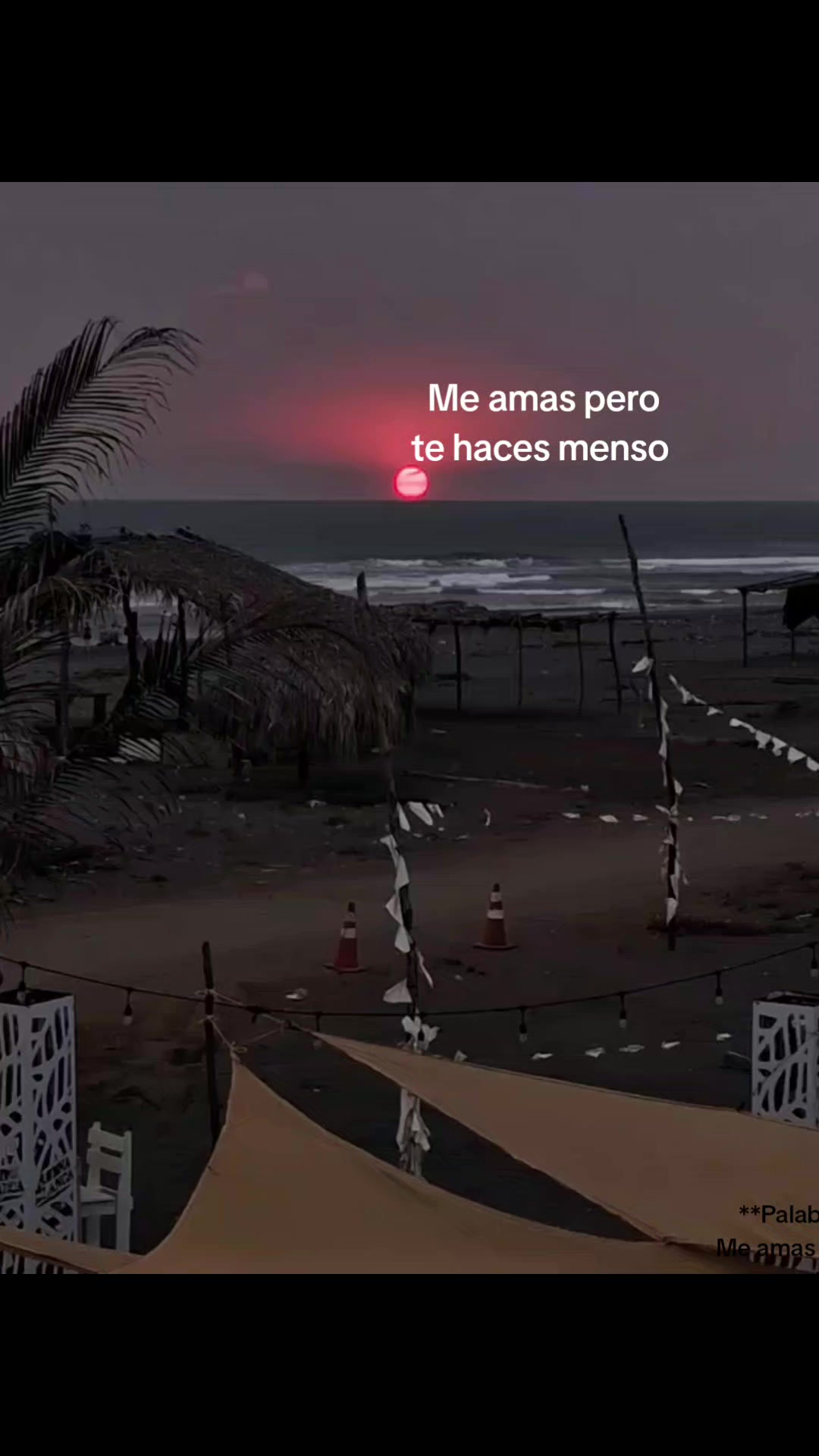 @Elizabeth Vásquez ✨🌷