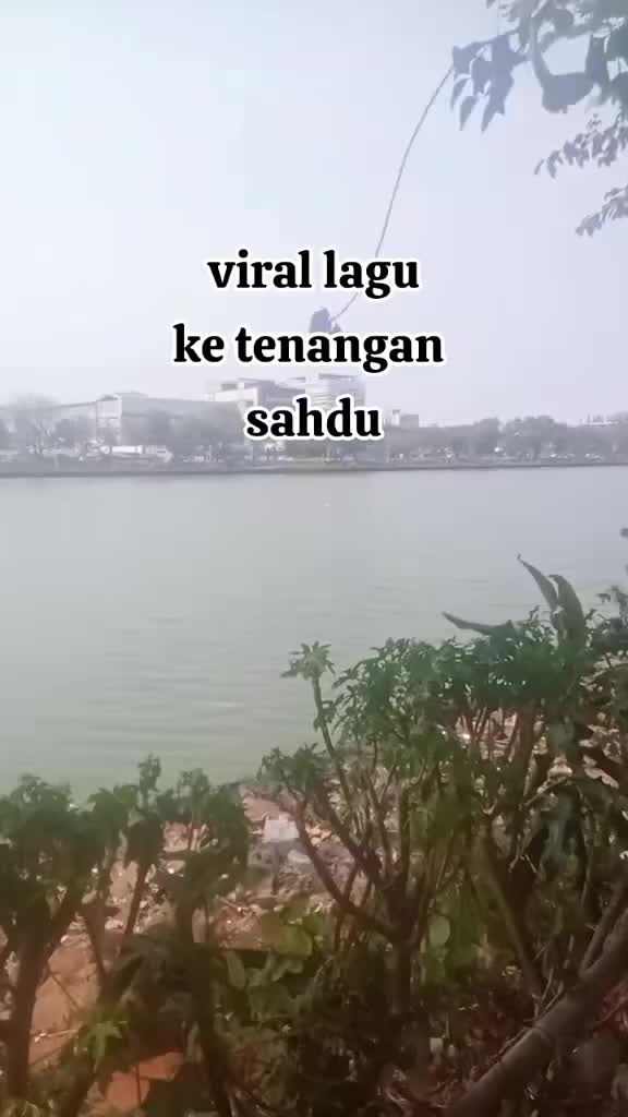 @sisilia