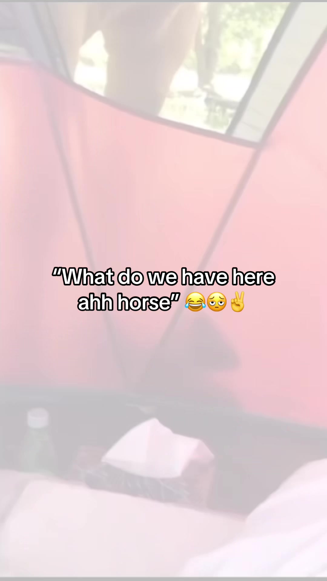 @Hxbitz