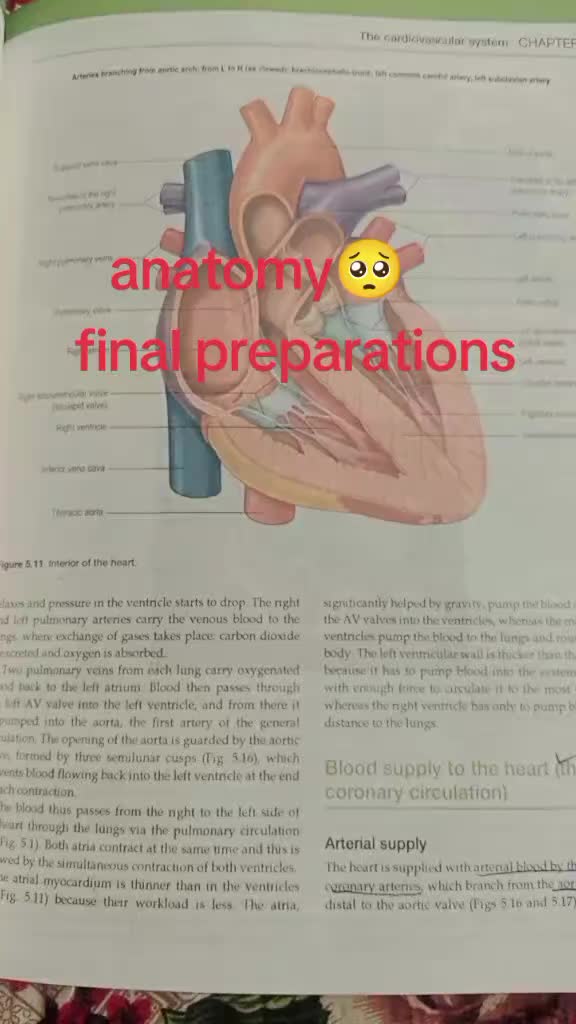 @BSN-Girl 🥼🧑&zwj;⚕️🩺