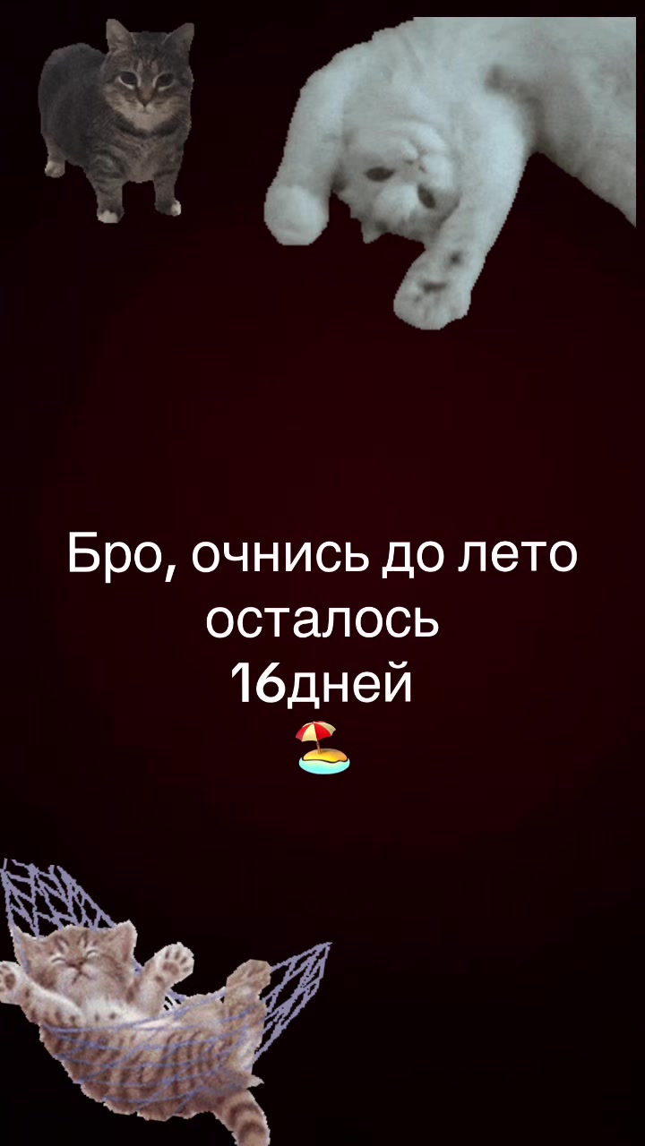 @🎀М🎀А🎀Р🎀И🎀Н🎀А🎀